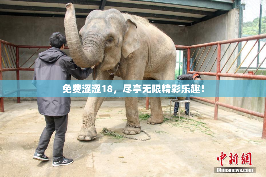 免费涩涩18，尽享无限精彩乐趣！