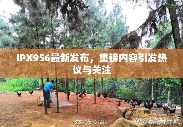 IPX956最新发布，重磅内容引发热议与关注