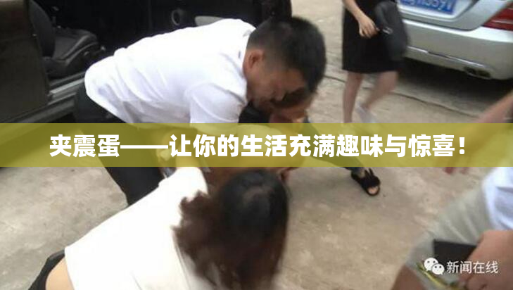 夹震蛋——让你的生活充满趣味与惊喜！