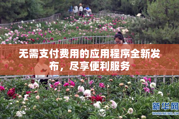 无需支付费用的应用程序全新发布，尽享便利服务