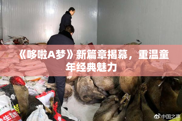 《哆啦A梦》新篇章揭幕，重温童年经典魅力