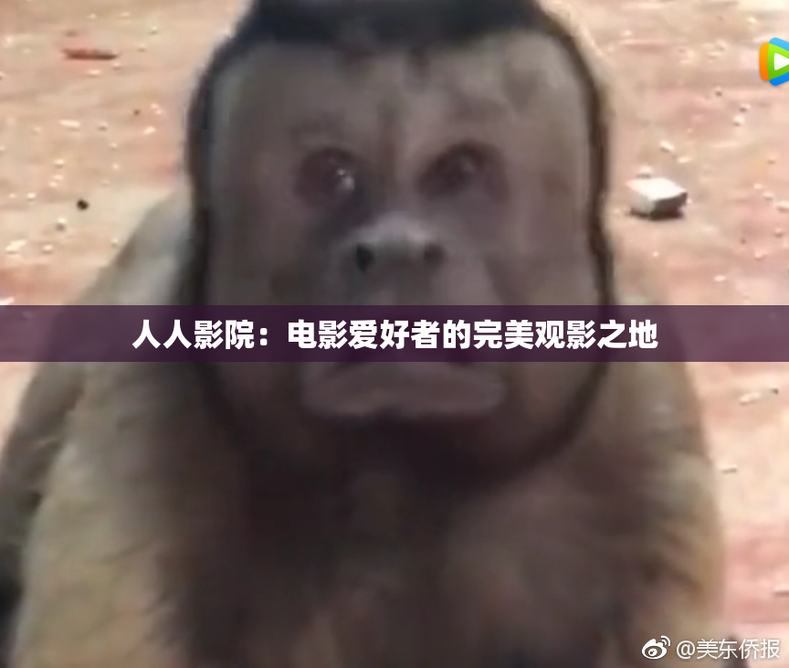 人人影院：电影爱好者的完美观影之地