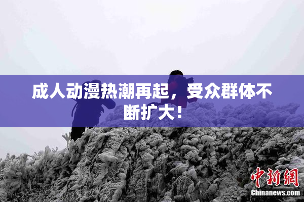 成人动漫热潮再起，受众群体不断扩大！