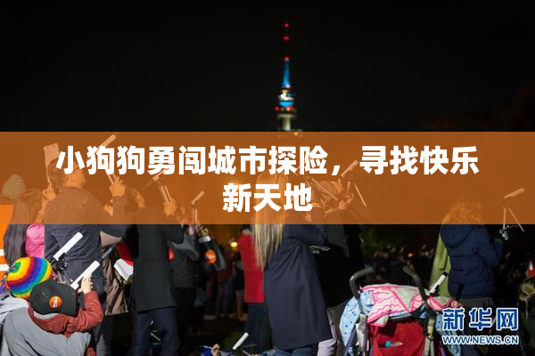 小狗狗勇闯城市探险，寻找快乐新天地