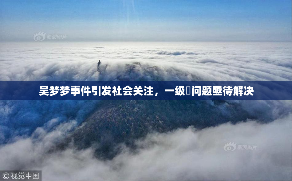 吴梦梦事件引发社会关注，一级婬问题亟待解决