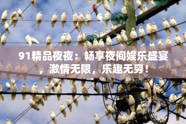91精品夜夜：畅享夜间娱乐盛宴，激情无限，乐趣无穷！
