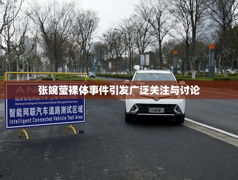 张婉莹裸体事件引发广泛关注与讨论