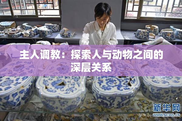 主人调教：探索人与动物之间的深层关系