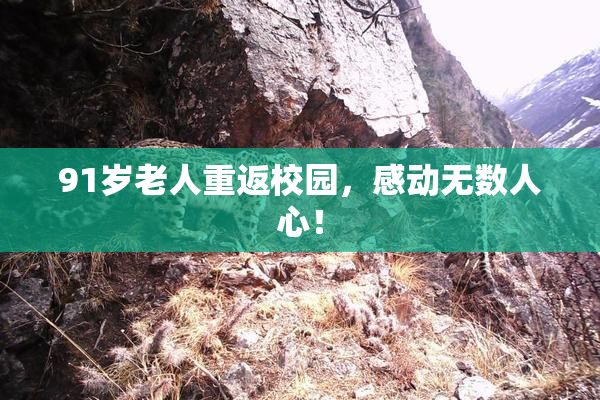 91岁老人重返校园，感动无数人心！