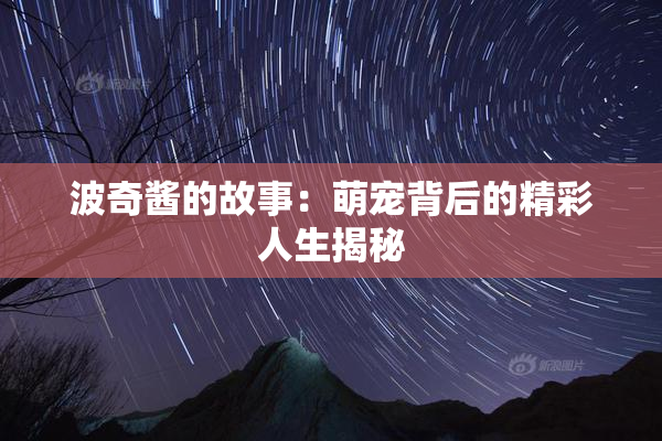 波奇酱的故事：萌宠背后的精彩人生揭秘