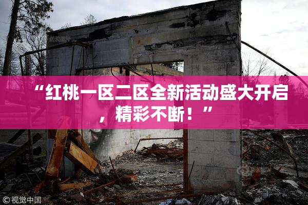 “红桃一区二区全新活动盛大开启，精彩不断！”