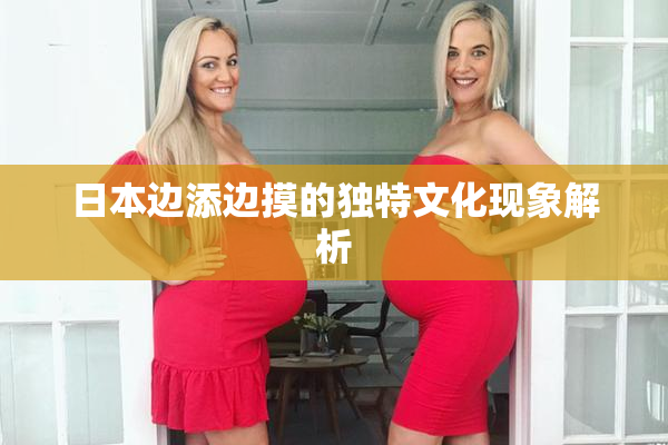 日本边添边摸的独特文化现象解析