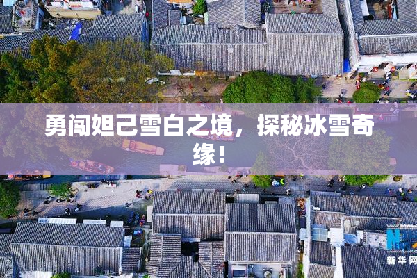 勇闯妲己雪白之境，探秘冰雪奇缘！