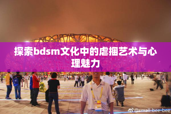 探索bdsm文化中的虐捆艺术与心理魅力