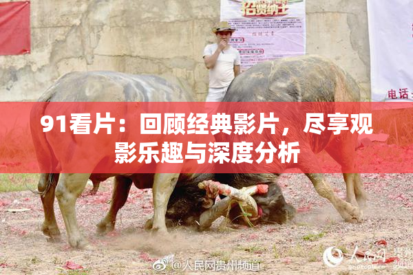 91看片：回顾经典影片，尽享观影乐趣与深度分析