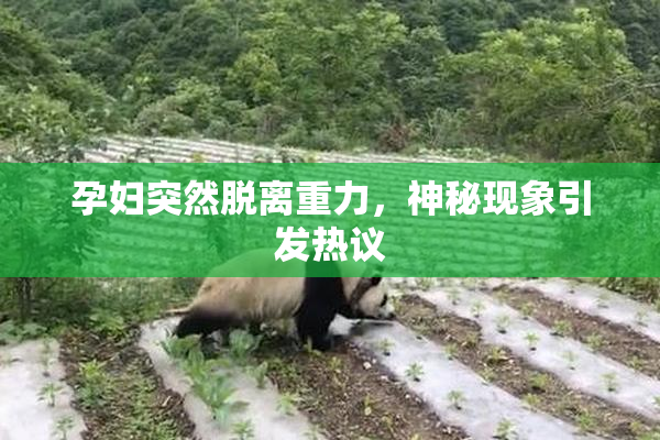 孕妇突然脱离重力，神秘现象引发热议