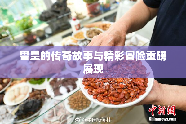 兽皇的传奇故事与精彩冒险重磅展现