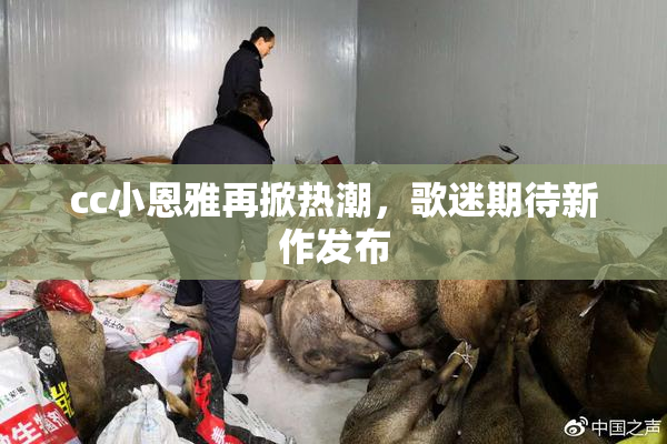 cc小恩雅再掀热潮，歌迷期待新作发布