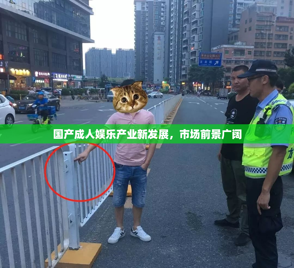 国产成人娱乐产业新发展，市场前景广阔