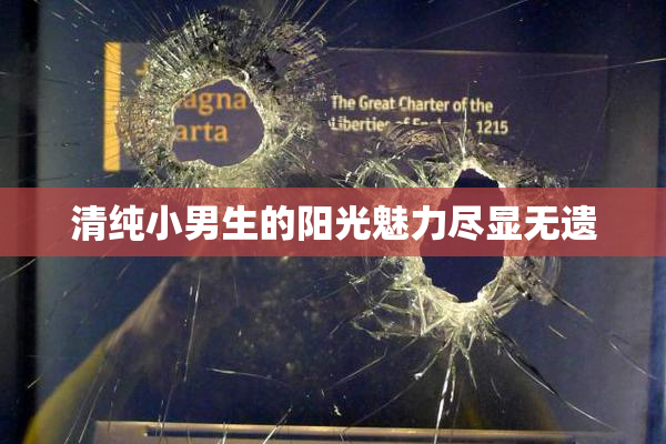 清纯小男生的阳光魅力尽显无遗