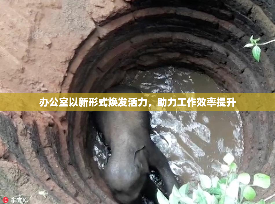 办公室以新形式焕发活力，助力工作效率提升