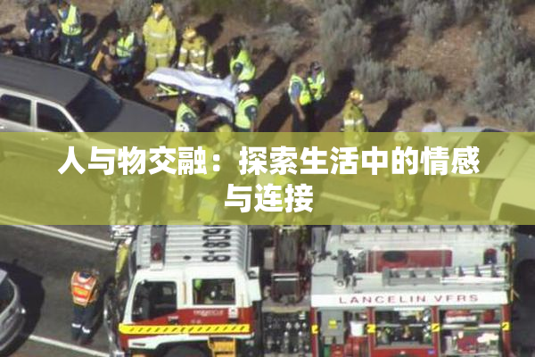 人与物交融：探索生活中的情感与连接