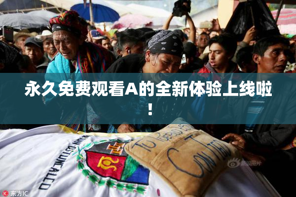 永久免费观看A的全新体验上线啦！