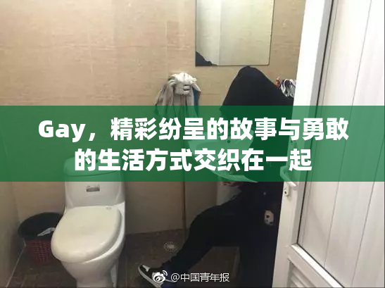 Gay，精彩纷呈的故事与勇敢的生活方式交织在一起