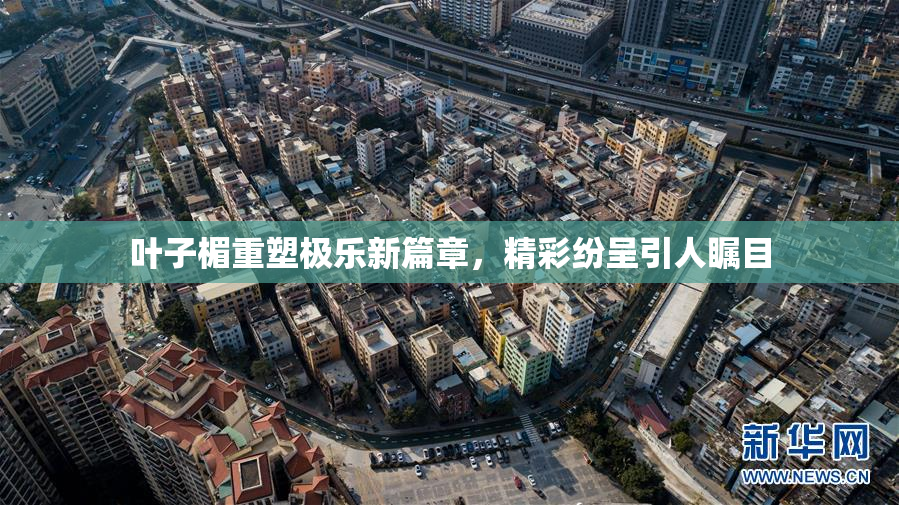 叶子楣重塑极乐新篇章，精彩纷呈引人瞩目