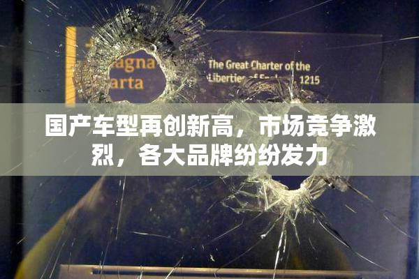 国产车型再创新高，市场竞争激烈，各大品牌纷纷发力