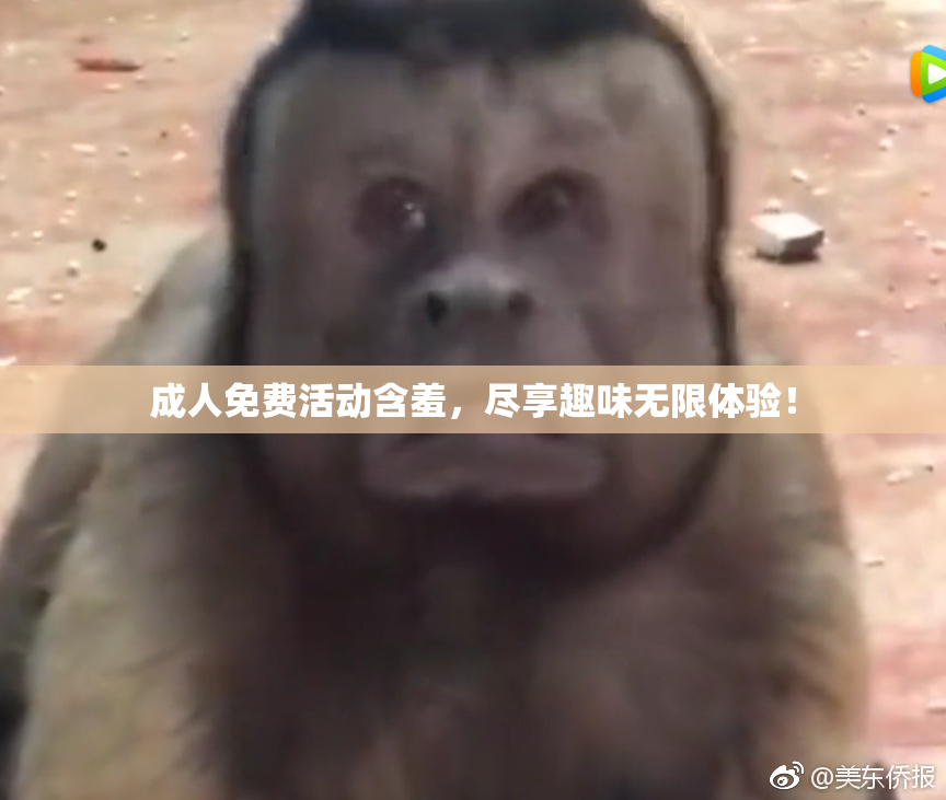 成人免费活动含羞，尽享趣味无限体验！