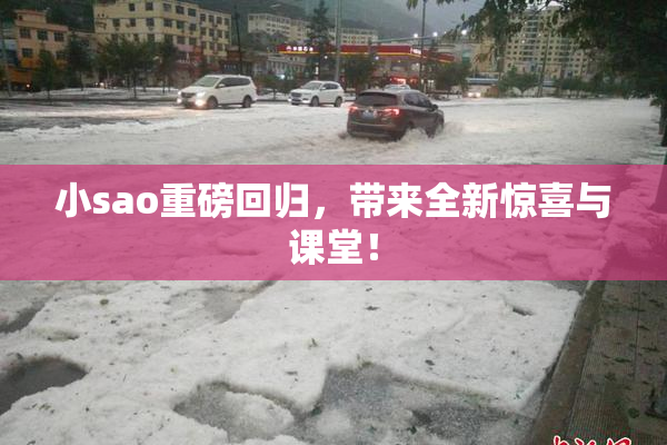 小sao重磅回归，带来全新惊喜与课堂！
