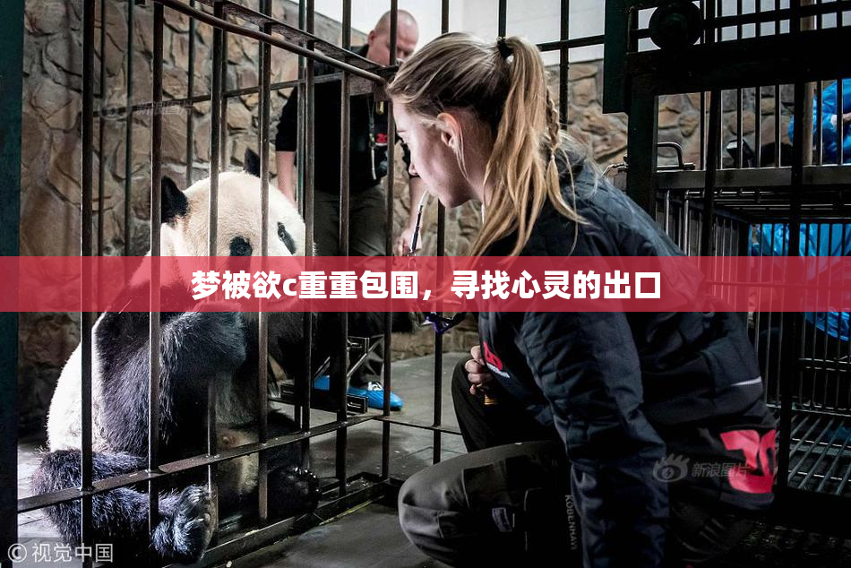 梦被欲c重重包围，寻找心灵的出口