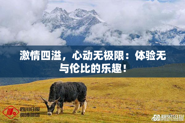 激情四溢，心动无极限：体验无与伦比的乐趣！