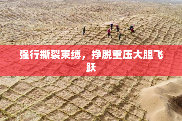 强行撕裂束缚，挣脱重压大胆飞跃