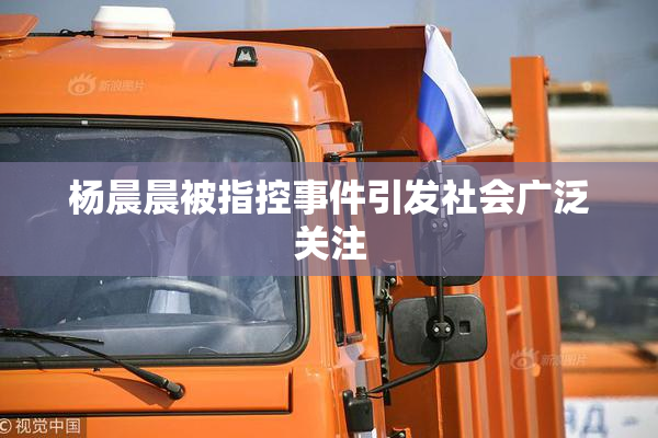 杨晨晨被指控事件引发社会广泛关注