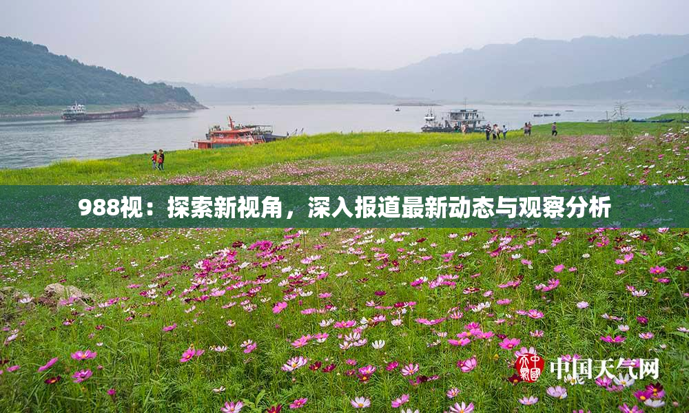 988视：探索新视角，深入报道最新动态与观察分析