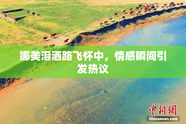 娜美泪洒路飞怀中，情感瞬间引发热议