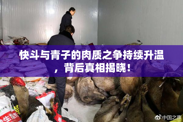 快斗与青子的肉质之争持续升温，背后真相揭晓！