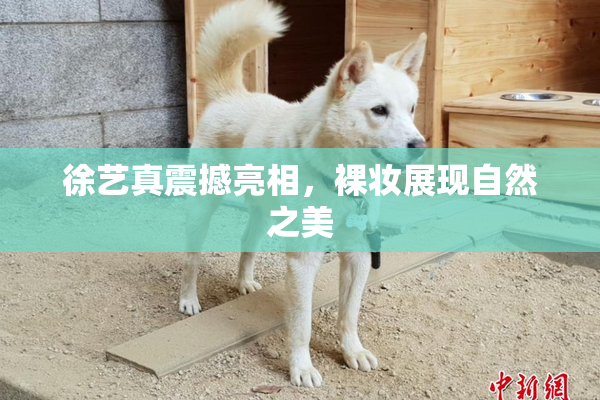 徐艺真震撼亮相，裸妆展现自然之美