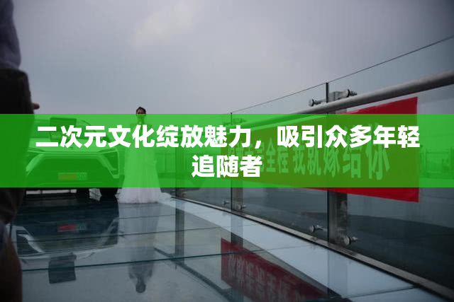 二次元文化绽放魅力，吸引众多年轻追随者