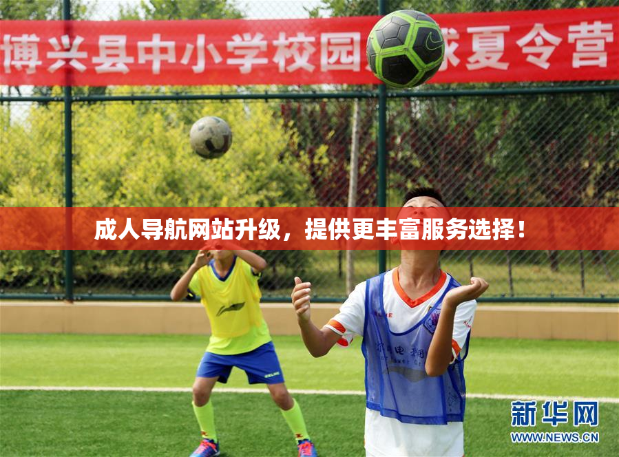 成人导航网站升级，提供更丰富服务选择！