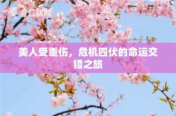 美人受重伤，危机四伏的命运交错之旅