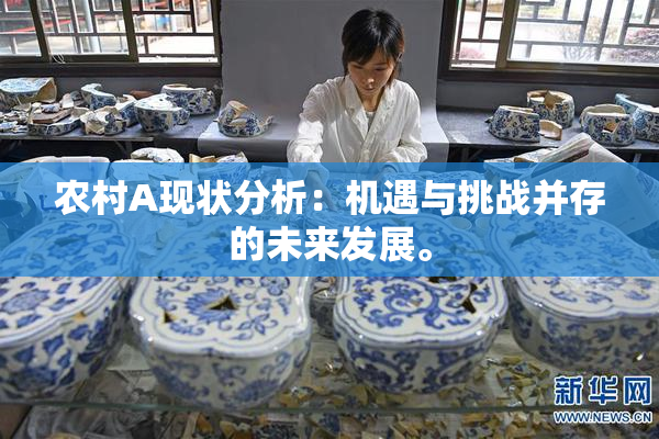农村A现状分析：机遇与挑战并存的未来发展。