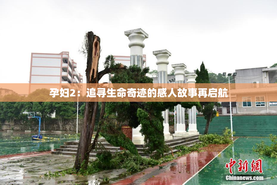 孕妇2：追寻生命奇迹的感人故事再启航