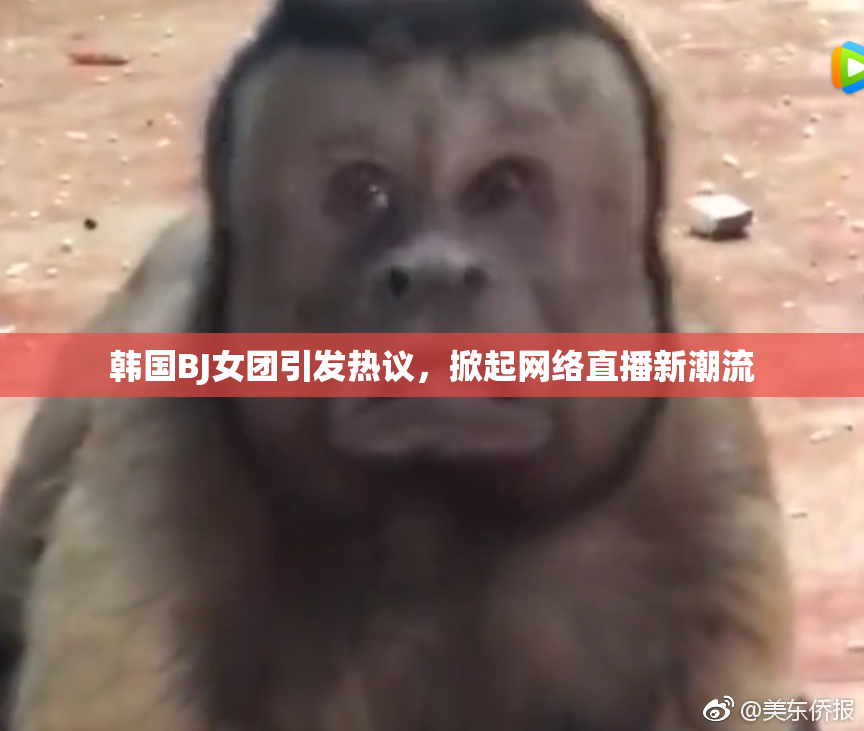 韩国BJ女团引发热议，掀起网络直播新潮流