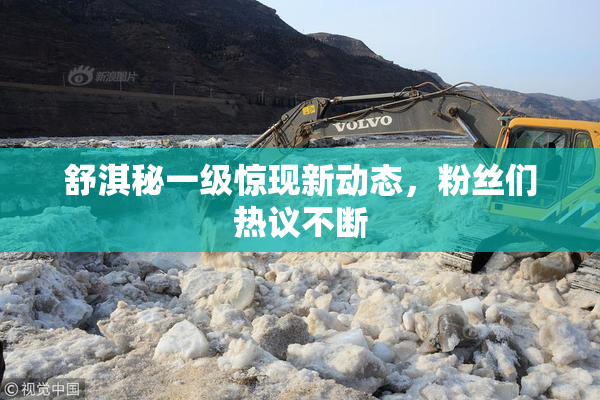 舒淇秘一级惊现新动态，粉丝们热议不断