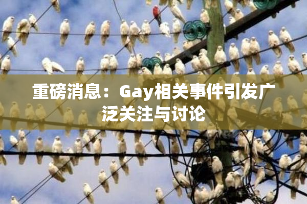 重磅消息：Gay相关事件引发广泛关注与讨论