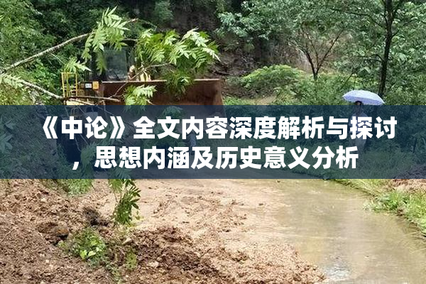 《中论》全文内容深度解析与探讨，思想内涵及历史意义分析