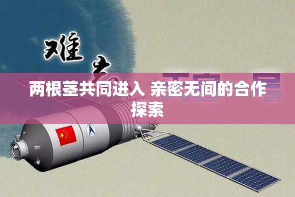 两根茎共同进入 亲密无间的合作探索